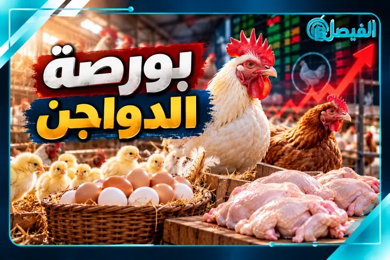 بورصة الدواجن